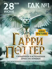 Концерт «Гарри Поттер. Оркестр Sonorus»